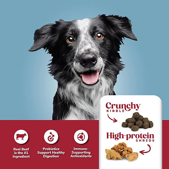 4health Shreds Adult Beef and Rice Formula Dry Dog Food, 35lb