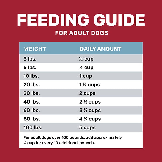 4health Shreds Adult Beef and Rice Formula Dry Dog Food, 35lb