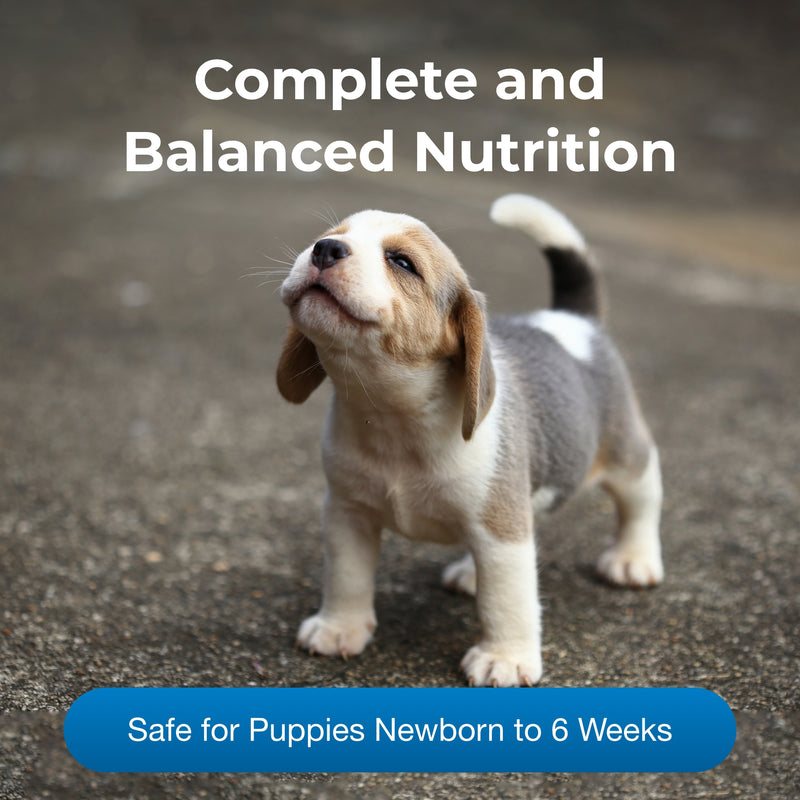 PetAg PetLac Powder for Puppies, 10.5 oz.