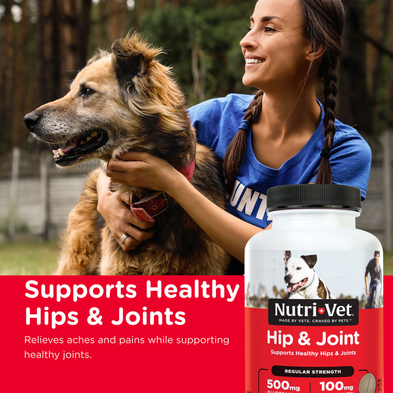 Nutri-Vet Hip & Joint Regular Strength Chewables 120 Count