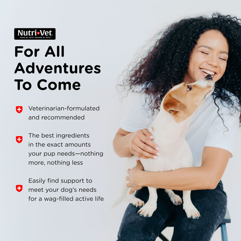 Nutri-Vet Senior-Vite Chewables For Dogs 120 Count