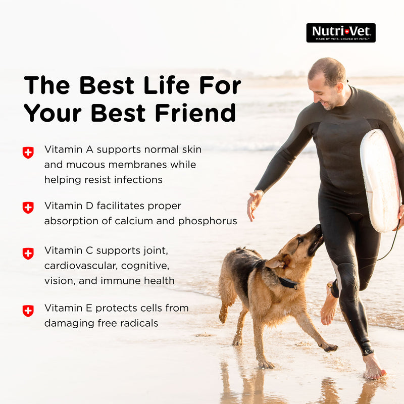 Nutri-Vet Senior-Vite Chewables For Dogs 120 Count