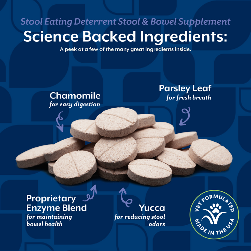 NaturVet Stool Eating Deterrent Stool & Bowel Supplement for Dogs, Hickory Smoked Bacon Flavor, 60 Chewable Tablets