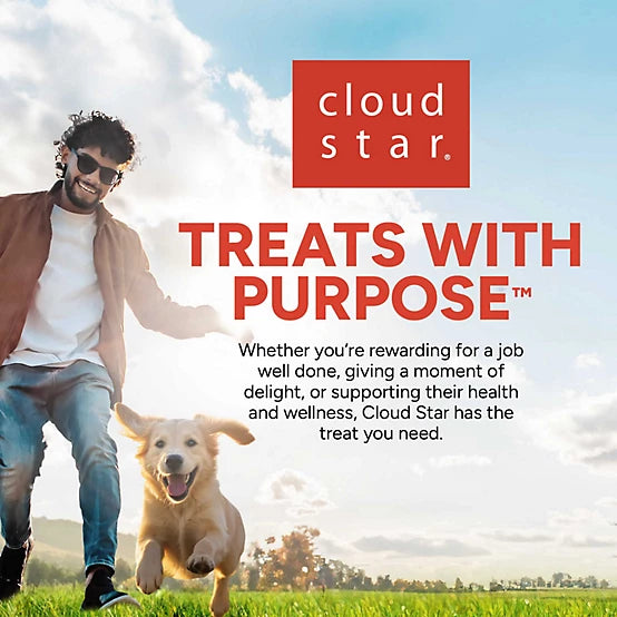 Pet Botanics Treat Beef 20 oz. Training