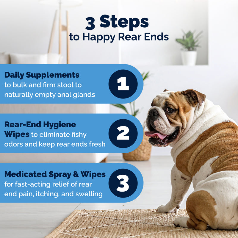 Glandex Advanced Vet Strength Anal Gland Health Spray for Dogs & Cats, 4 fl. oz.