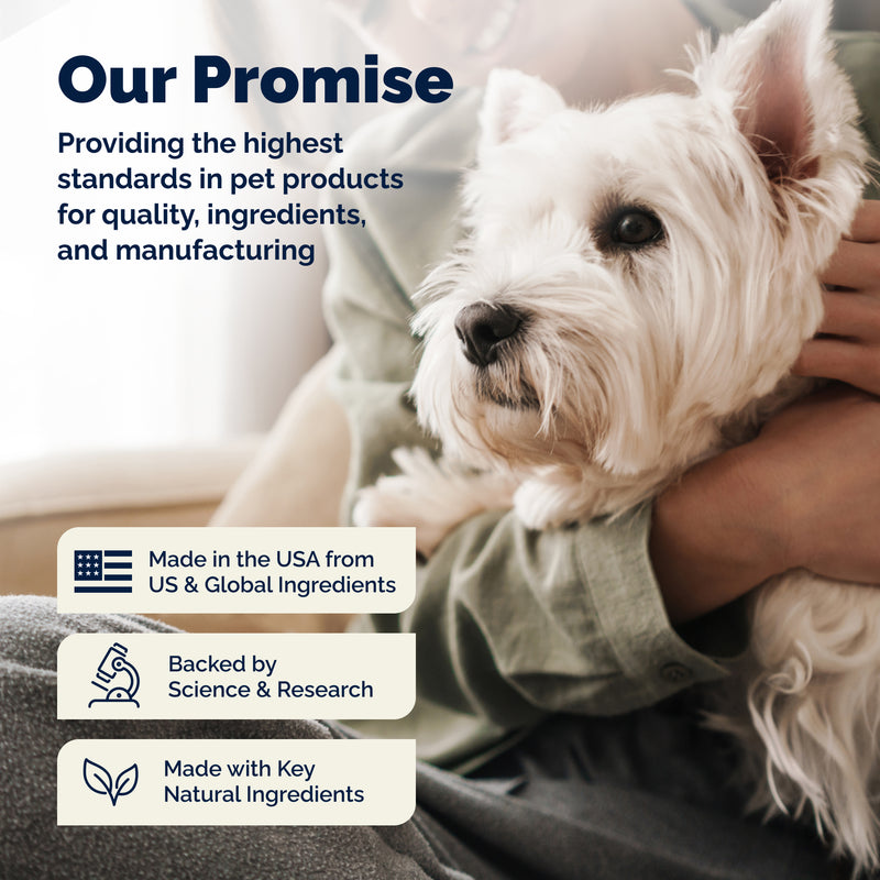 Glandex Advanced Vet Strength Anal Gland Health Spray for Dogs & Cats, 4 fl. oz.