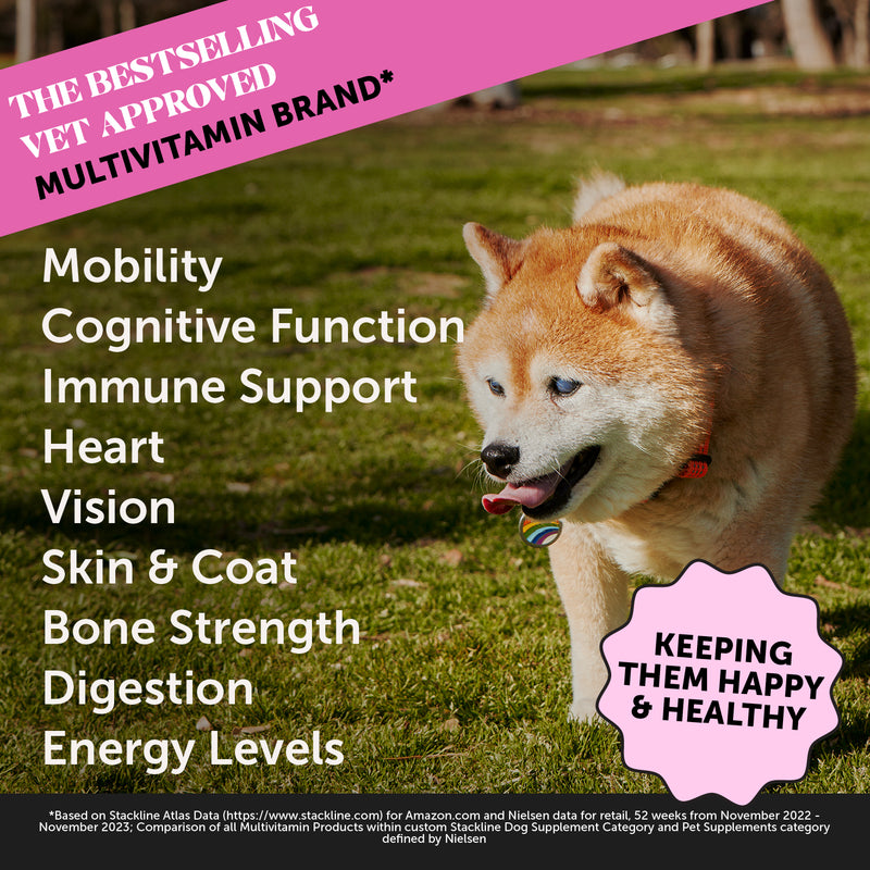 Pet Honesty Multivitamin Senior - Smoked Duck (90 ct. Jar) for Dogs