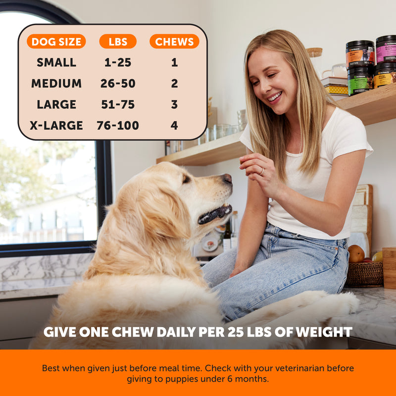 Pet Honesty Hemp Hip+Joint Health Senior - Chicken (90 ct. Jar) for Dogs