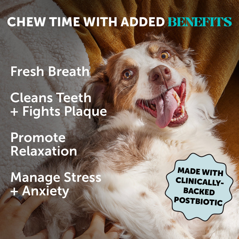 Pet Honesty Hemp Calming Fresh Sticks - Pumpkin Peanut Butter (30 ct. Pouch) for Dogs