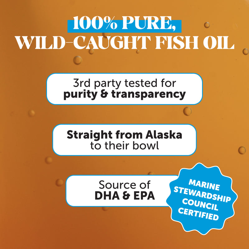 Pet Honesty Omega-3 Fish Oil (Cat/Dog) - (16 fl.oz. Bottle)