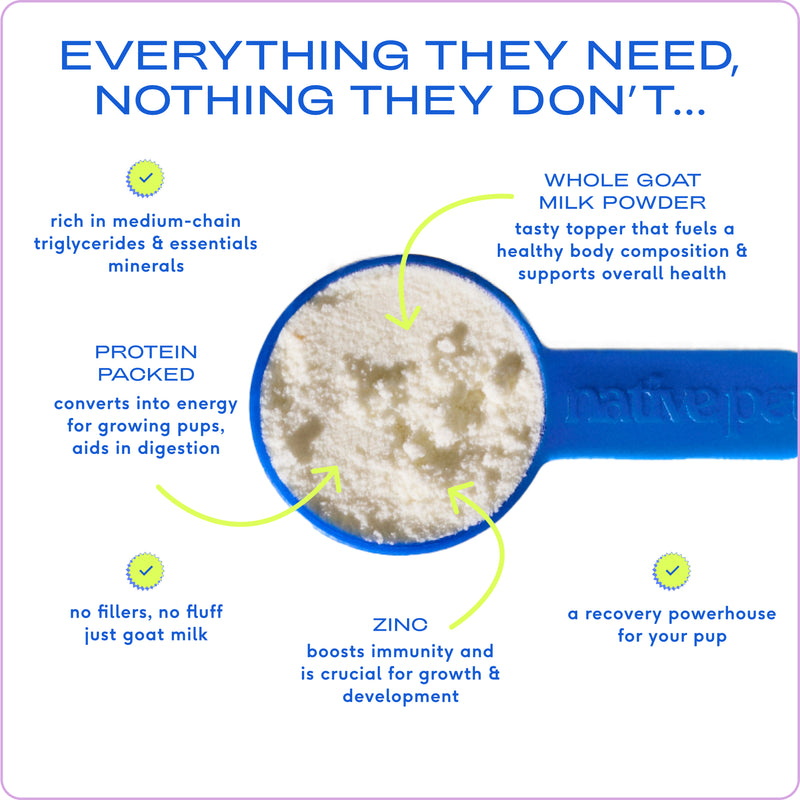 Native Pet Whole Goat Milk Powder Digestive, Recovery, & Energy Support for Active Dogs, 7 oz