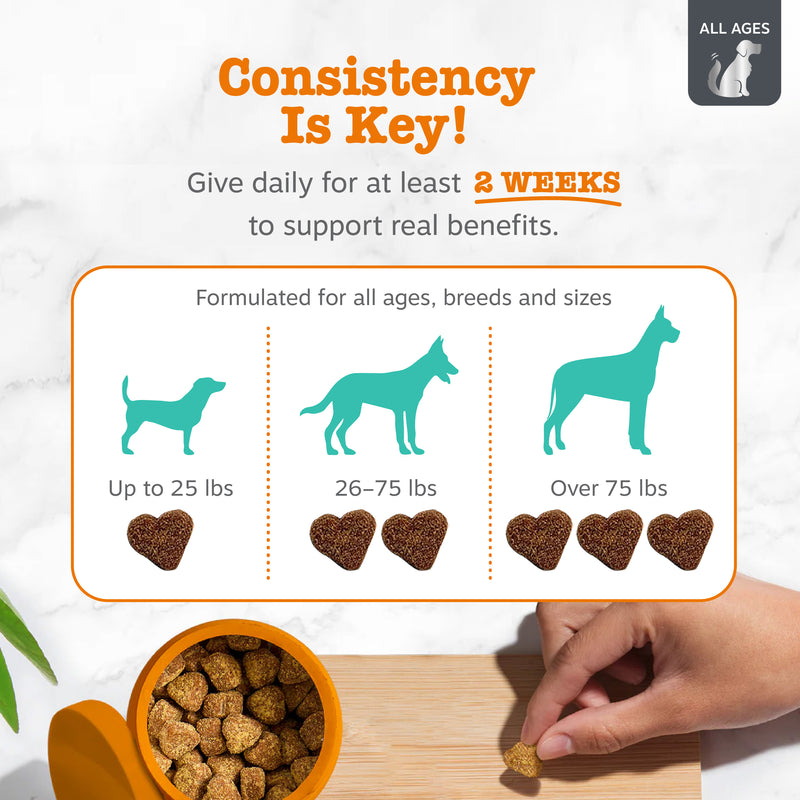 Zesty Paws Vet Strength Calming Bites, Turkey Flavor, 90ct for Dogs