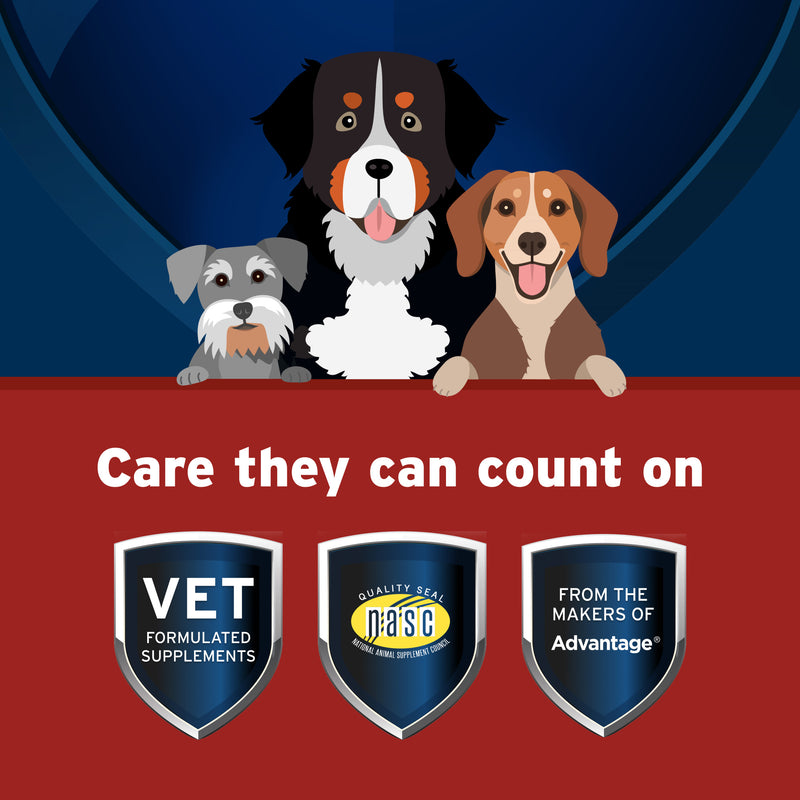 Pet Protect Hip and Joint with Synovi G4 Soft Chews for Dogs
