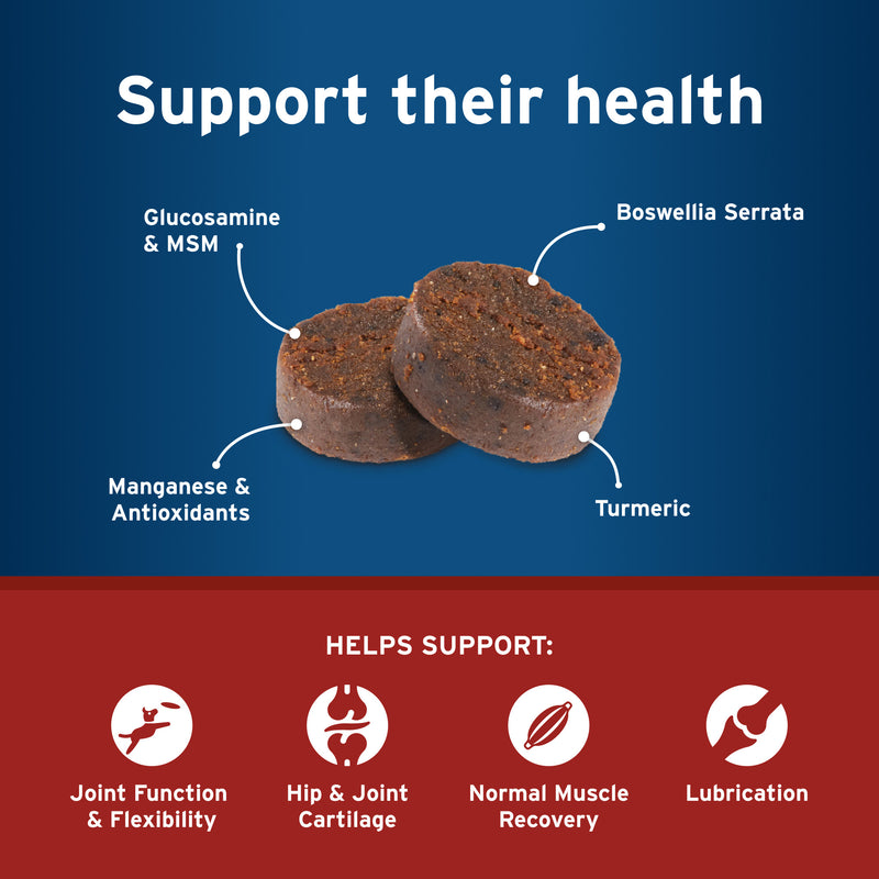 Pet Protect Hip and Joint with Synovi G4 Soft Chews for Dogs