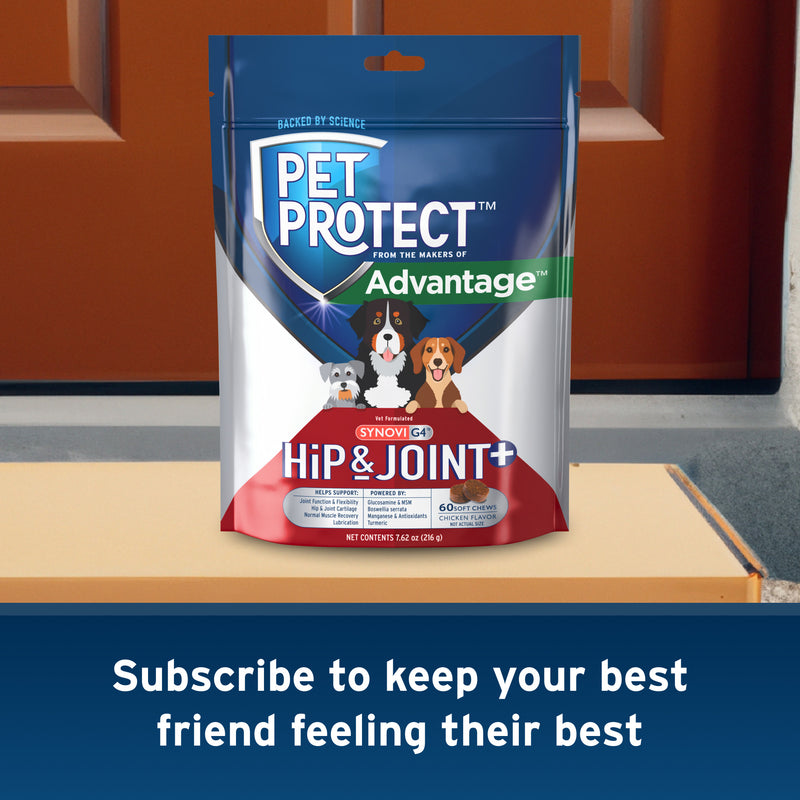 Pet Protect Hip and Joint with Synovi G4 Soft Chews for Dogs