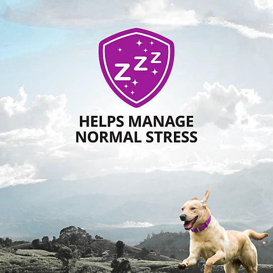 4health Calming Aid Supplement Bars for Dogs, 6 ct.