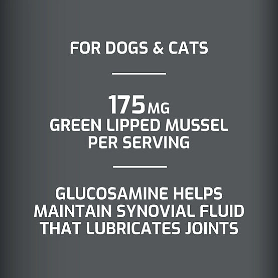 4health Hip and Joint Supplement Powder for Dogs, 6.2oz