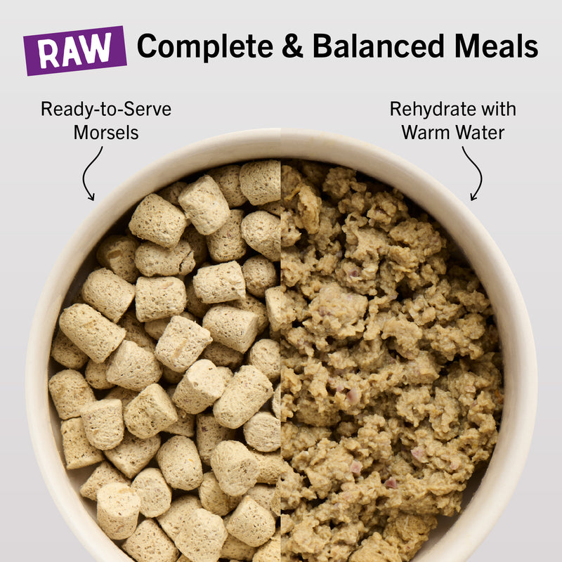 Stella & Chewy's Freeze-Dried Dinner Morsels for Cats - Chick Chick Chicken Recipe - 1 Ounce Bag