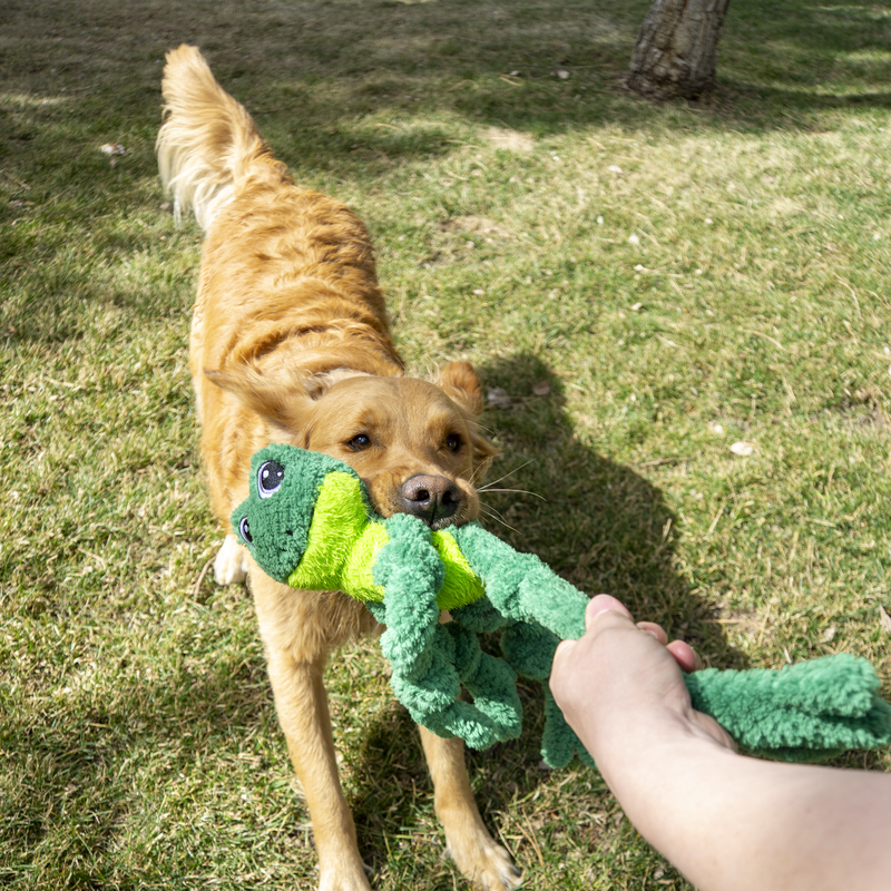 KONG Knots Frog Large/Extra Large Dog Toy