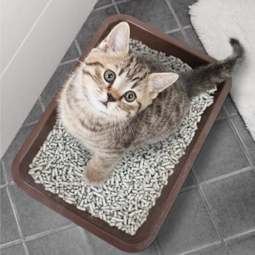 Breeder Celect Cat Litter | 99% Recycled Paper | Highly Absorbent | Natural & Nontoxic | 7 Lb Bag