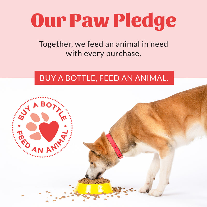 Prebiotic Pet Balm 2oz