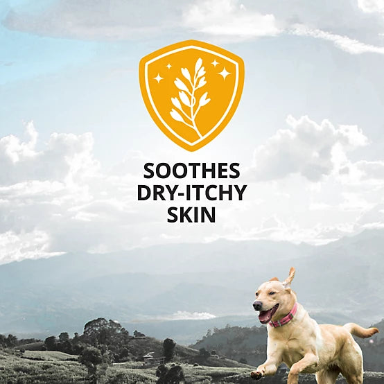 4health Scented Oatmeal Dog Shampoo, 32 oz.