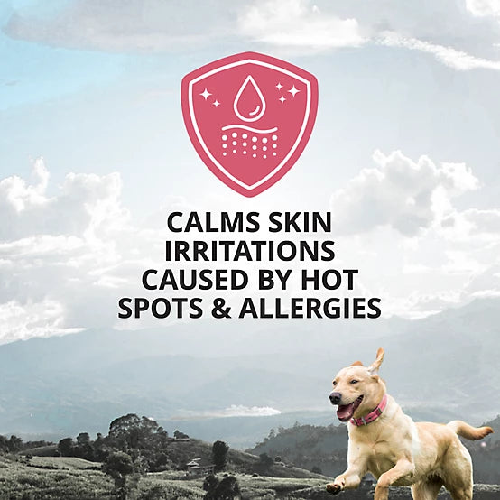 4health Unscented Hot Spot Dog Shampoo with Honeysuckle and Aloe Vera, 32 oz.