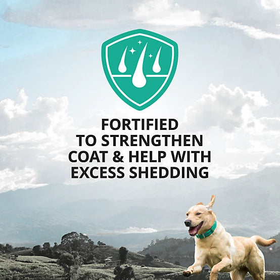 4health Unscented Deshedding Dog Shampoo, 32 oz.