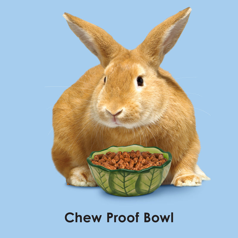 Kaytee Vege-T-Bowl Cabbage 6 inches