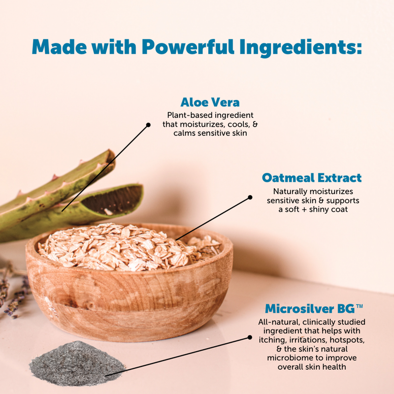 Pet Honesty Restore + Soothe 2 in 1 Shampoo + Conditioner for Sensitive Skin for Dogs & Cats