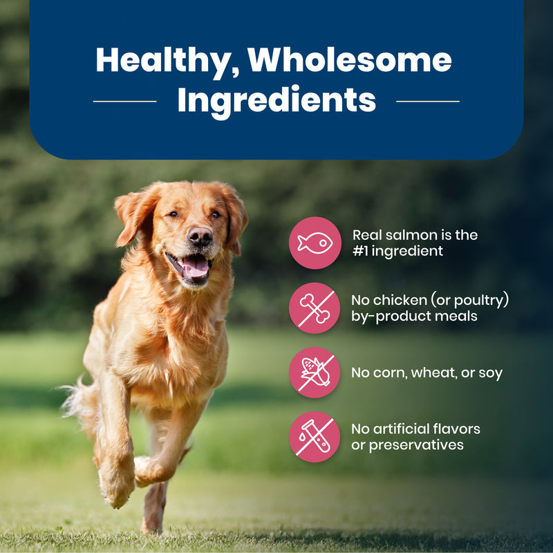 Blue Buffalo Life Protection Formula Adult Dry Dog Food, Helps Build and Maintain Strong Muscles, Made with Natural Ingredients, Salmon & Brown Rice Recipe, 5-lb. Bag