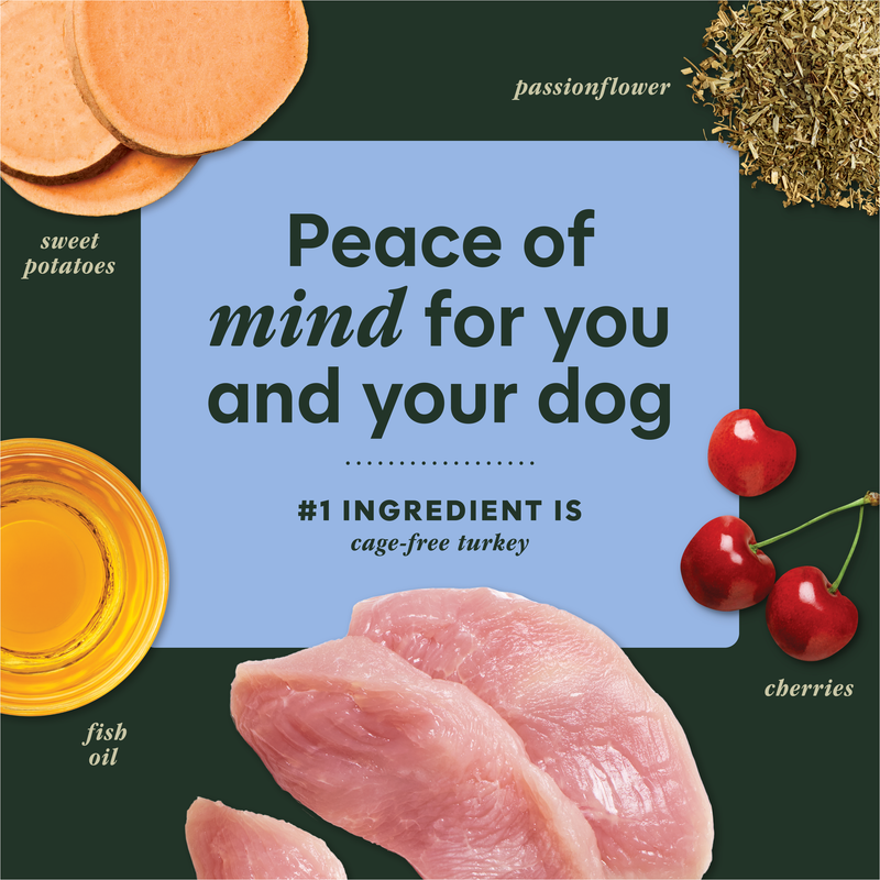 Instinct Raw Boost Mixers Tranquility Freeze-Dried Dog Food Topper, 5.5 oz. Bag
