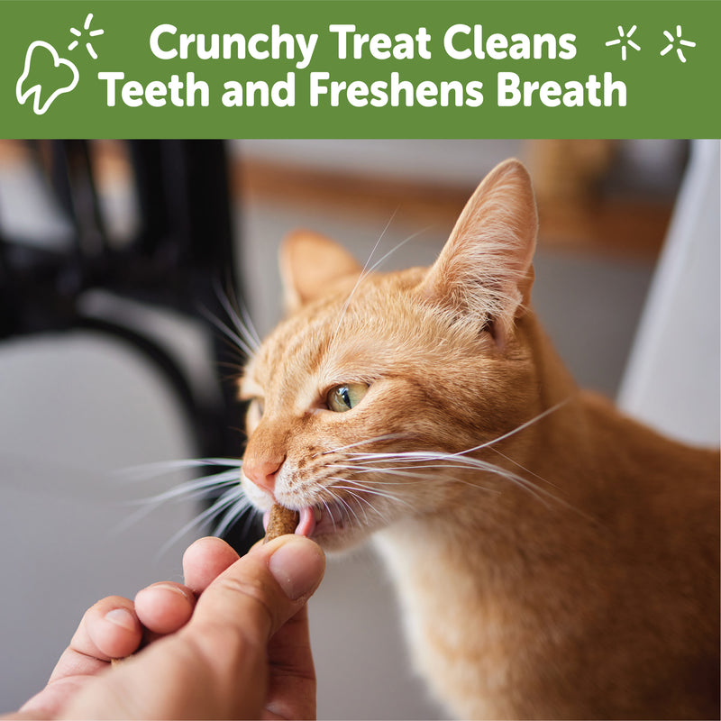 Wellness WHIMZEES Cat Chicken and Salmon Flavor Dental Treats, 2 oz