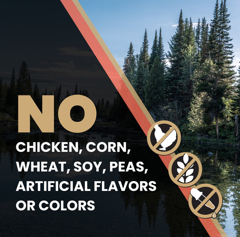 VICTOR Sensitive Skin and Stomach ‰ÛÒ Salmon Meal and Brown Rice Recipe 30lb