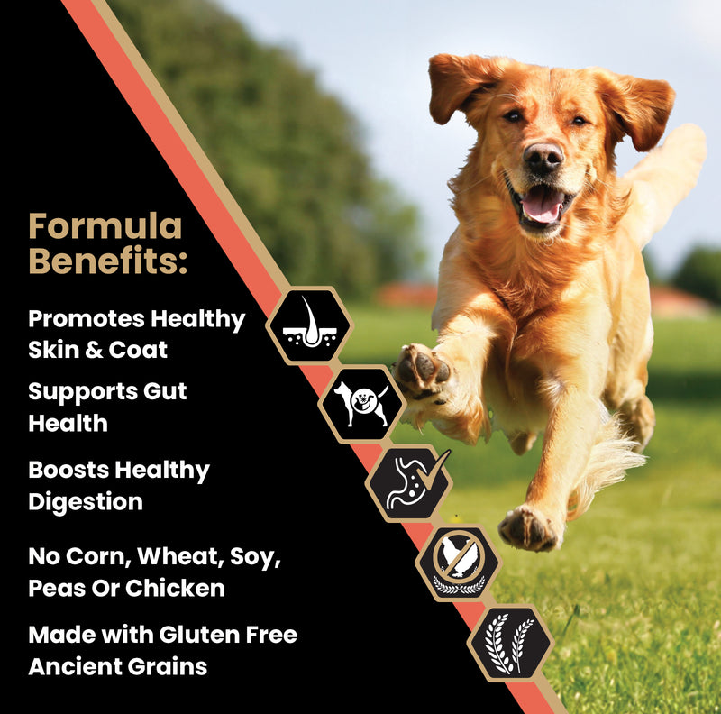 VICTOR Sensitive Skin and Stomach ‰ÛÒ Salmon Meal and Brown Rice Recipe 30lb