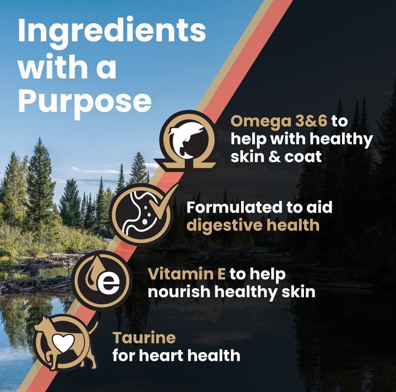 VICTOR Sensitive Skin and Stomach ‰ÛÒ Salmon Meal and Brown Rice Recipe 30lb