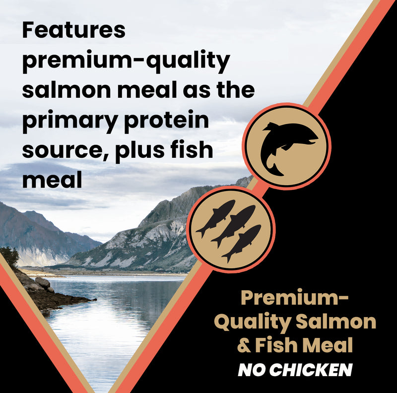 VICTOR Sensitive Skin and Stomach ‰ÛÒ Salmon Meal and Brown Rice Recipe 5lb