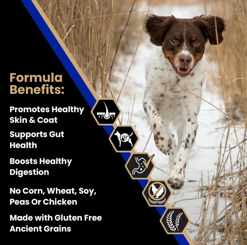 
VICTOR Sensitive Skin and Stomach ‰ÛÒ Beef Meal and Brown Rice Recipe - 5lb
