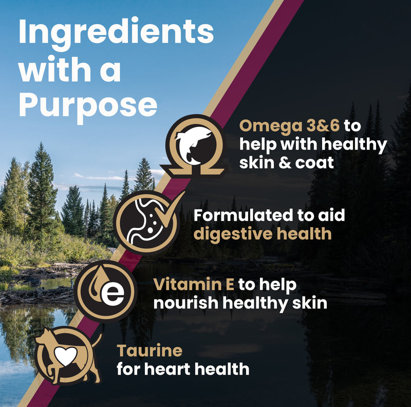 VICTOR Sensitive Skin and Stomach ‰ÛÒ Grain Free Lamb Meal and Sweet Potato Recipe 5lb