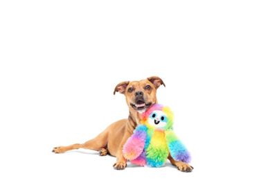BarkBox Good Vibes Gary Dog Toy