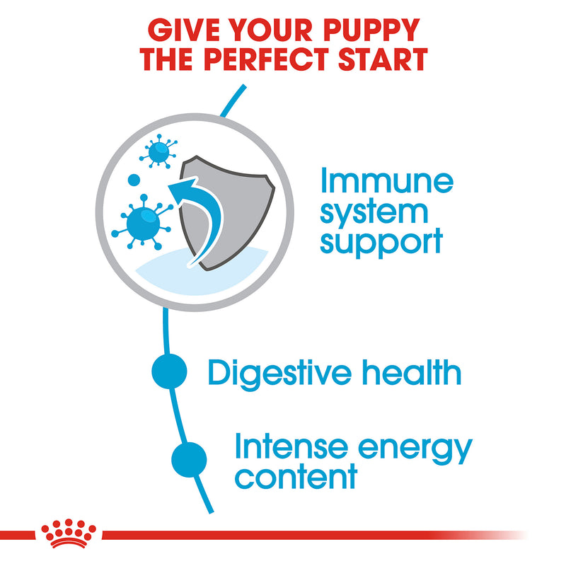 Royal Canin Size Health Nutrition Small Puppy Dry Dog Food, 4 lb