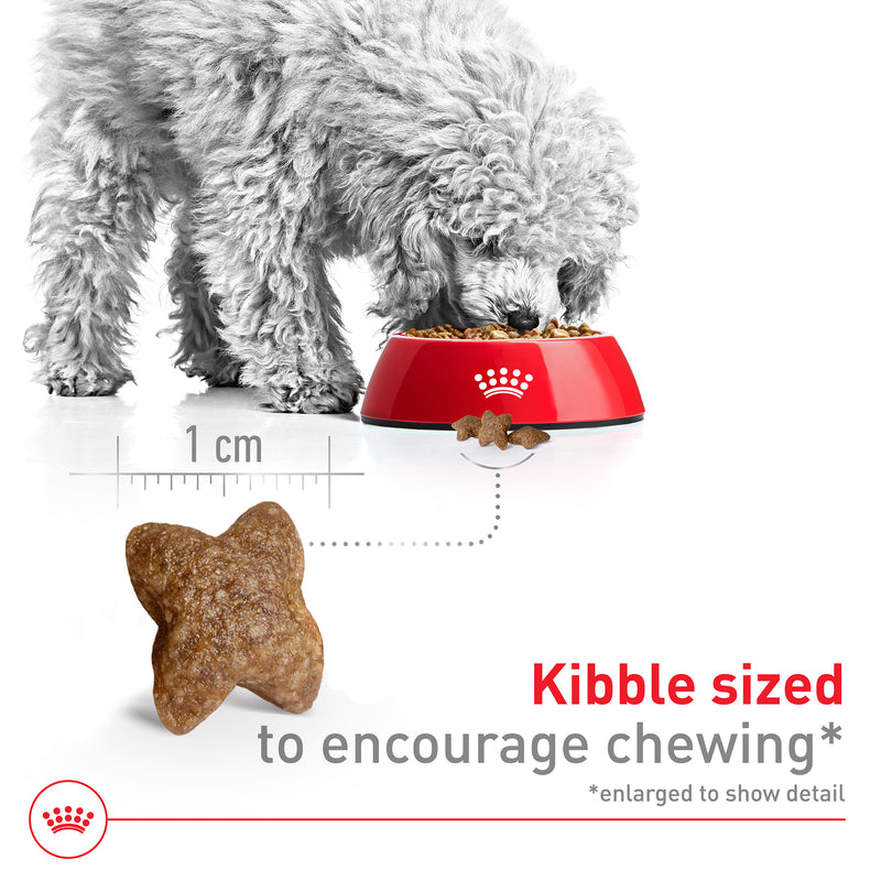 Royal Canin Size Health Nutrition Small Adult Dry Dog Food, 4 lb