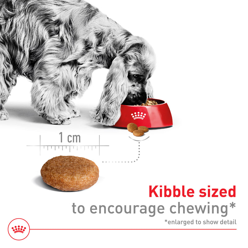 Royal Canin Size Health Nutrition Medium Adult Dry Dog Food, 40 lb
