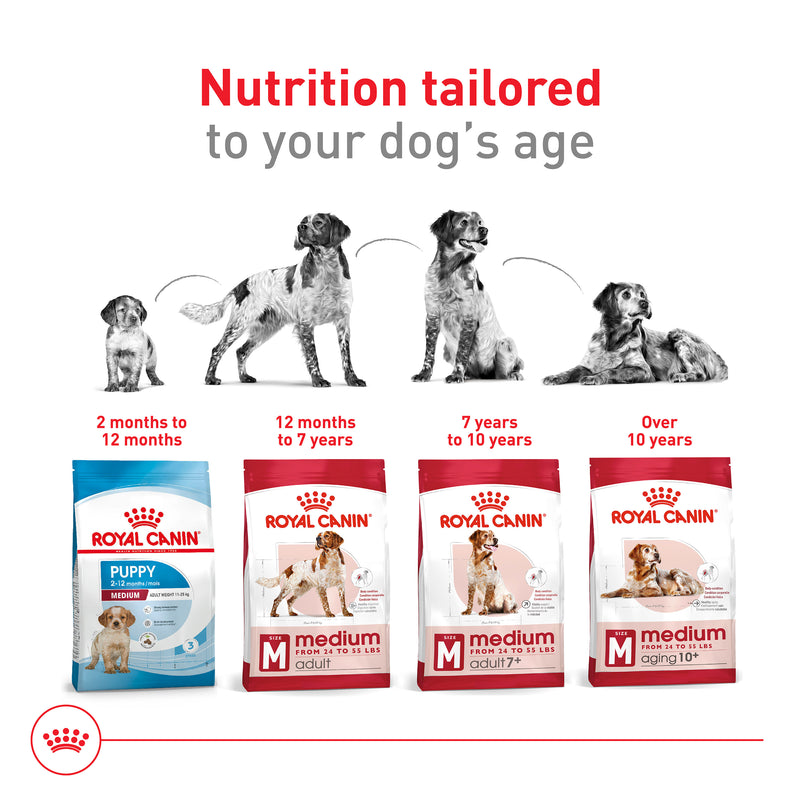 Royal Canin Size Health Nutrition Medium Adult Dry Dog Food, 40 lb