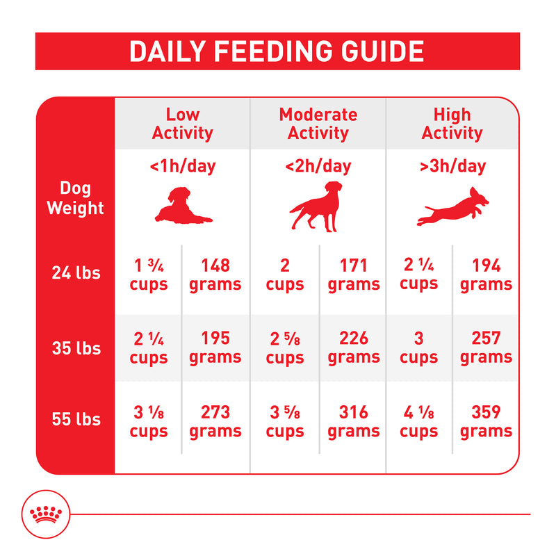 Royal Canin Size Health Nutrition Medium Adult Dry Dog Food, 40 lb