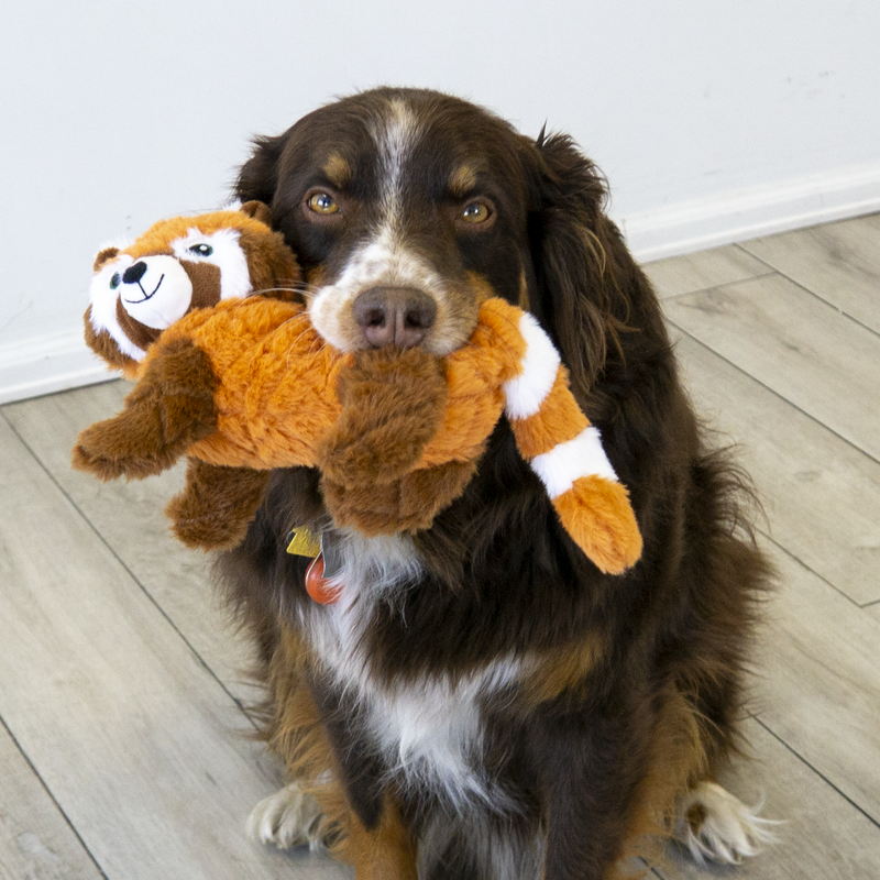 KONG Scampers Red Panda Medium Dog Toy