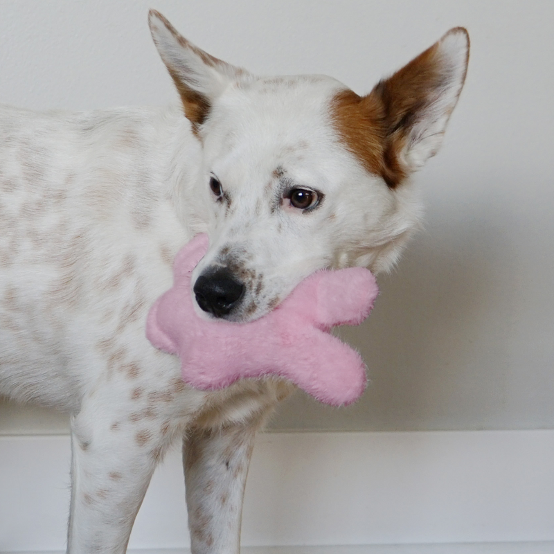 KONG Snuzzles Kiddos Bunny Small Dog Toy