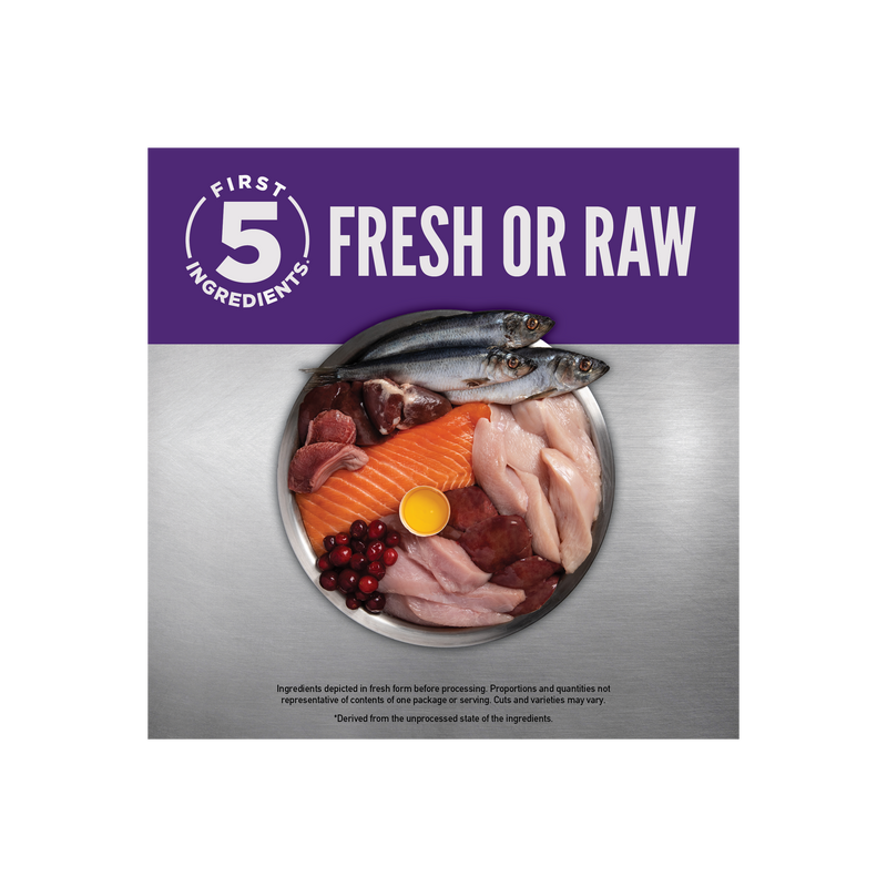 ORIJEN Large Breed Adult 23.5LB