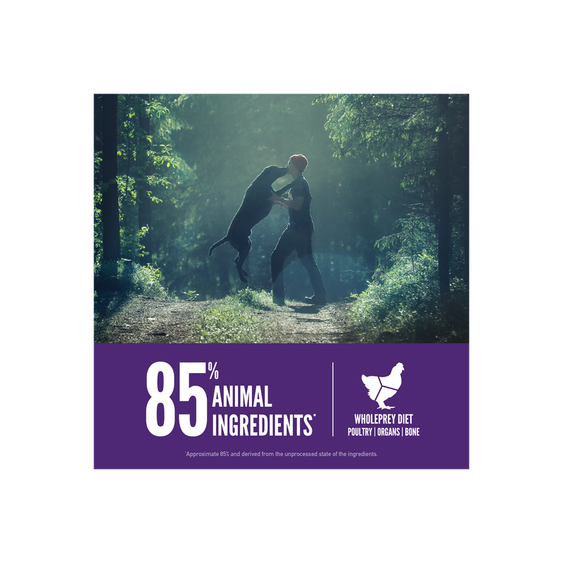 ORIJEN Large Breed Adult 23.5LB