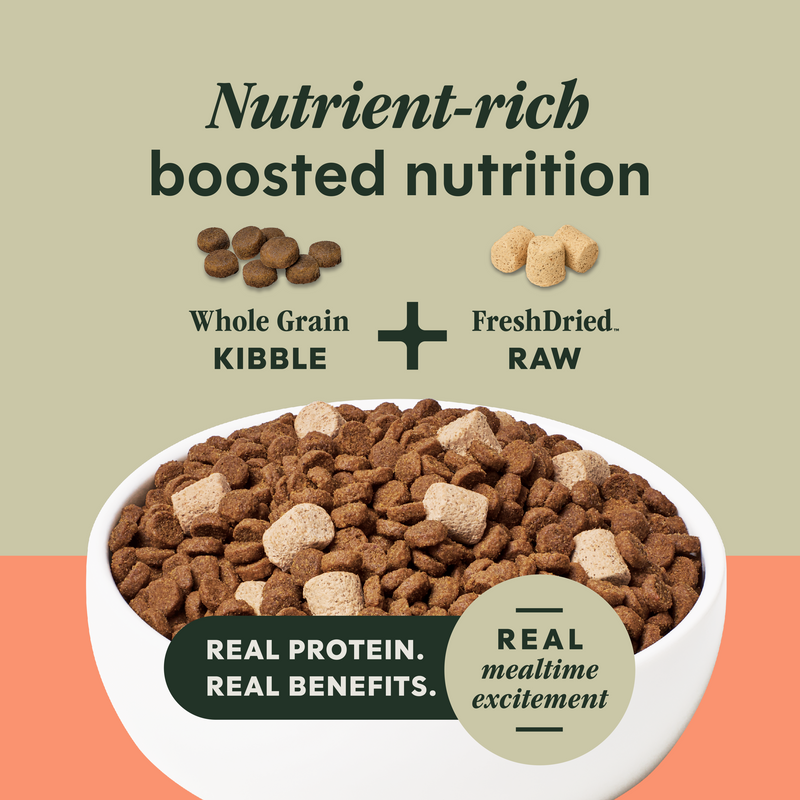 Instinct Raw Boost Whole Grain Salmon & Brown Rice Dry Dog Food, 3.5 lb. Bag